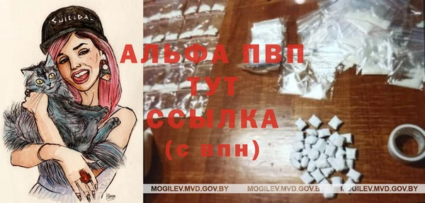 крисы Приозерск