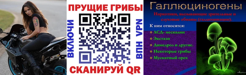 купить закладку  Буй  Галлюциногенные грибы Magic Shrooms 